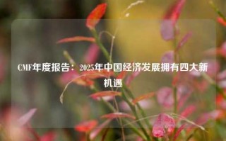 CMF年度报告：2025年中国经济发展拥有四大新机遇