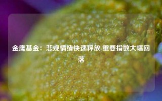 金鹰基金：悲观情绪快速释放 重要指数大幅回落