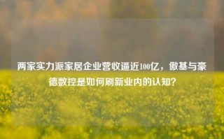 两家实力派家居企业营收逼近100亿，傲基与豪德数控是如何刷新业内的认知？