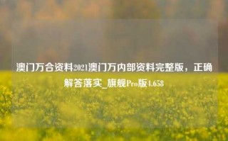 澳门万合资料2021澳门万内部资料完整版，正确解答落实_旗舰Pro版4.658