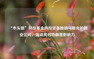 “木头姐”风投基金向投资者推销马斯克的创业公司，强调其对特朗普影响力