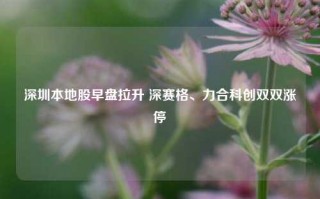 深圳本地股早盘拉升 深赛格、力合科创双双涨停