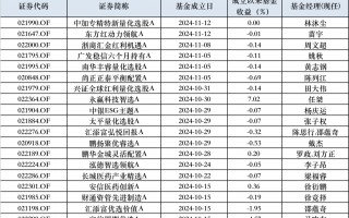 10月以来权益新发回暖，次新基金建仓时点有技巧，业绩分化明显