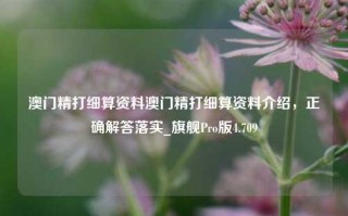 澳门精打细算资料澳门精打细算资料介绍，正确解答落实_旗舰Pro版4.709