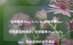 全球最贵iPhone 16 Pro Max登场苹果16pro价格表官网报价，全球最贵iPhone 16 Pro Max，苹果官网价格表揭晓