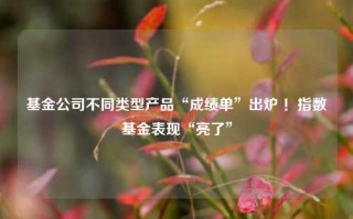 基金公司不同类型产品“成绩单”出炉 ！指数基金表现“亮了”