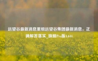 远望谷最新消息重组远望谷集团最新消息，正确解答落实_旗舰Pro版4.644