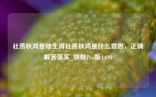 社燕秋鸿是啥生肖社燕秋鸿是什么意思，正确解答落实_旗舰Pro版4.698