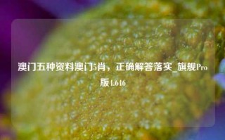 澳门五种资料澳门5肖，正确解答落实_旗舰Pro版4.646