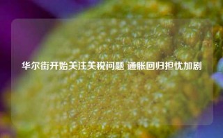 华尔街开始关注关税问题 通胀回归担忧加剧