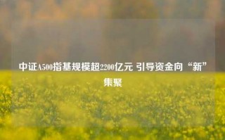 中证A500指基规模超2200亿元 引导资金向“新”集聚