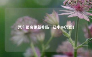 汽车报废更新补贴，已申100万份！