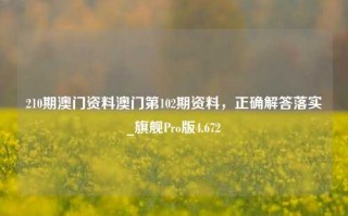 210期澳门资料澳门第102期资料，正确解答落实_旗舰Pro版4.672