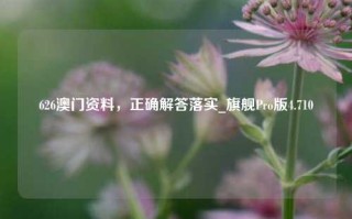 626澳门资料，正确解答落实_旗舰Pro版4.710