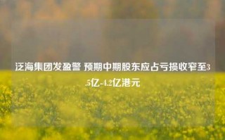 泛海集团发盈警 预期中期股东应占亏损收窄至3.5亿-4.2亿港元