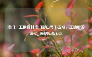 澳门十五期资料澳门彩出号十五期，正确解答落实_旗舰Pro版4.656