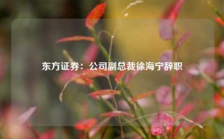 东方证券：公司副总裁徐海宁辞职