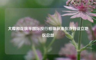 大摩和花旗等国际投行相继获准在沙特设立地区总部