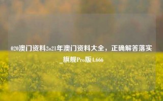 020澳门资料2o21年澳门资料大全，正确解答落实_旗舰Pro版4.666