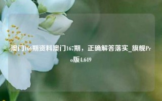 澳门166期资料澳门167期，正确解答落实_旗舰Pro版4.649