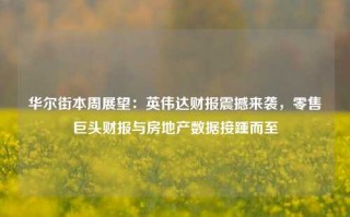 华尔街本周展望：英伟达财报震撼来袭，零售巨头财报与房地产数据接踵而至