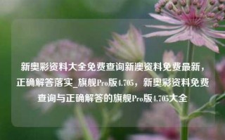 新奥彩资料大全免费查询新澳资料免费最新，正确解答落实_旗舰Pro版4.705，新奥彩资料免费查询与正确解答的旗舰Pro版4.705大全