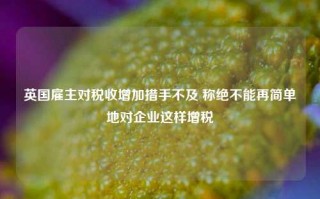 英国雇主对税收增加措手不及 称绝不能再简单地对企业这样增税