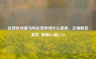 社燕秋鸿是马吗社燕秋鸿什么意思，正确解答落实_旗舰Pro版4.718