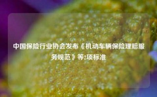 中国保险行业协会发布《机动车辆保险理赔服务规范》等2项标准