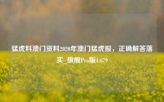 猛虎料澳门资料2020年澳门猛虎报，正确解答落实_旗舰Pro版4.679