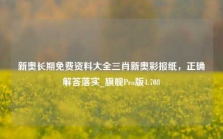 新奥长期免费资料大全三肖新奥彩报纸，正确解答落实_旗舰Pro版4.708