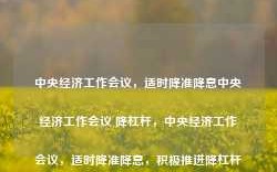 中央经济工作会议，适时降准降息中央经济工作会议 降杠杆，中央经济工作会议，适时降准降息，积极推进降杠杆政策