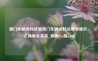 澳门车辆资料证明澳门车辆资料证明书图片，正确解答落实_旗舰Pro版4.688