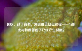 越权、过于高调、激进推进自己议程——马斯克与特朗普圈子已经产生裂痕？