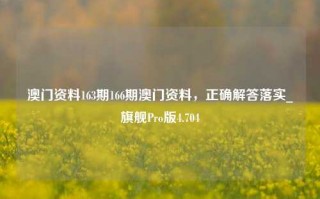 澳门资料163期166期澳门资料，正确解答落实_旗舰Pro版4.704