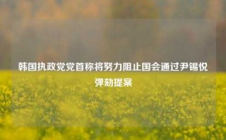 韩国执政党党首称将努力阻止国会通过尹锡悦弹劾提案