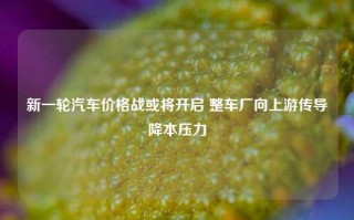 新一轮汽车价格战或将开启 整车厂向上游传导降本压力