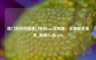 澳门资料码图澳门资料com资料库，正确解答落实_旗舰Pro版4.640