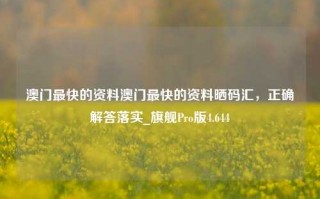 澳门最快的资料澳门最快的资料晒码汇，正确解答落实_旗舰Pro版4.644