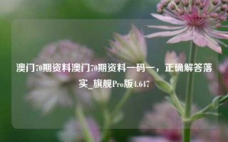 澳门70期资料澳门70期资料一码一，正确解答落实_旗舰Pro版4.647