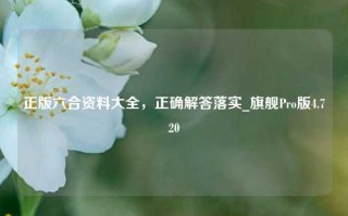 正版六合资料大全，正确解答落实_旗舰Pro版4.720