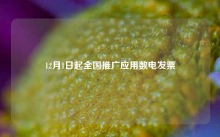 12月1日起全国推广应用数电发票