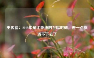 王传福：2019年是比亚迪的至暗时刻，差一点就活不下去了