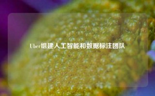 Uber组建人工智能和数据标注团队