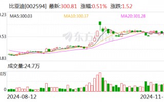 前10个月新能源车险保费同比大增53% 比亚迪、小米等新“玩家”相继入局