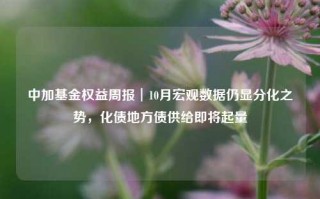 中加基金权益周报︱10月宏观数据仍显分化之势，化债地方债供给即将起量