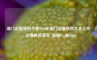 澳门正版资料今晚2020年澳门正版资料大全公开，正确解答落实_旗舰Pro版4.664