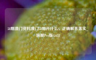 58期澳门资料澳门58期开什么，正确解答落实_旗舰Pro版4.653