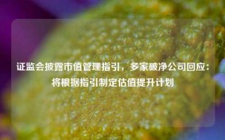 证监会披露市值管理指引，多家破净公司回应：将根据指引制定估值提升计划