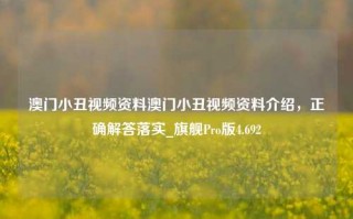 澳门小丑视频资料澳门小丑视频资料介绍，正确解答落实_旗舰Pro版4.692